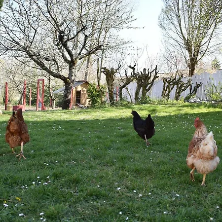 Les Treillettes 別荘 Puylaurens