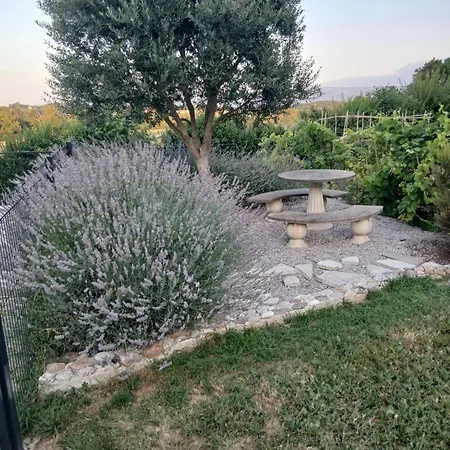 Holiday home Les Treillettes *