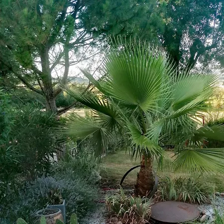 Les Treillettes Puylaurens