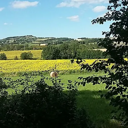 Les Treillettes Holiday home *