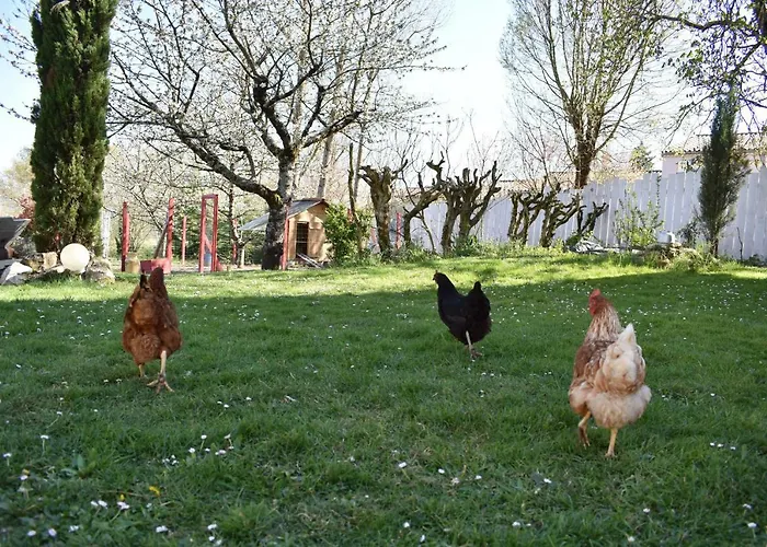 Les Treillettes 度假居 皮洛朗